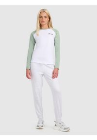 4f - 4F Longsleeve regular damski - zielony XL. Okazja: na co dzień. Kolor: zielony. Materiał: materiał, dzianina. Długość rękawa: długi rękaw. Długość: długie. Styl: casual