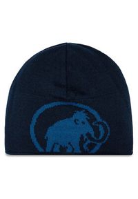 Mammut Czapka Mammut Logo Beanie 1191-04891-50554-1 Granatowy. Kolor: niebieski. Materiał: materiał #3