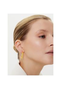 Kolczyki Elisabetta Franchi. Materiał: złote. Kolor: złoty