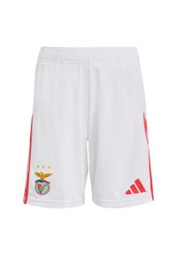 Adidas - Szorty Benfica 25/26 Home Kids. Kolor: biały. Sport: piłka nożna