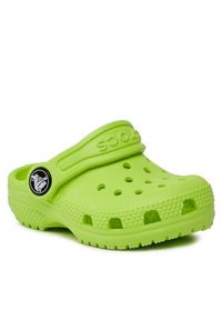 Crocs Klapki Classic Kids Clog T Limeade 206990 Zielony. Kolor: zielony