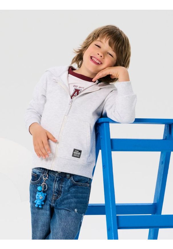 Sinsay - Bluza z kapturem - szary. Typ kołnierza: kaptur. Kolor: szary