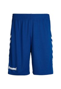 Spodenki sportowe męskie Hummel Core Poly Shorts. Kolor: niebieski