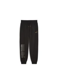 Spodnie sportowe damskie Puma Power Logo Love Colorblock. Kolor: wielokolorowy. Materiał: dresówka. Sport: fitness, joga i pilates #1