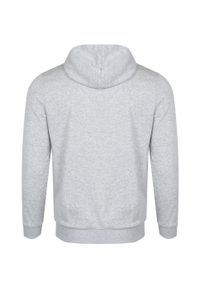 Bluza z kapturem Puma Men Ess Small Logo Hoody, Mężczyźni. Typ kołnierza: kaptur. Kolor: szary. Materiał: bawełna, materiał