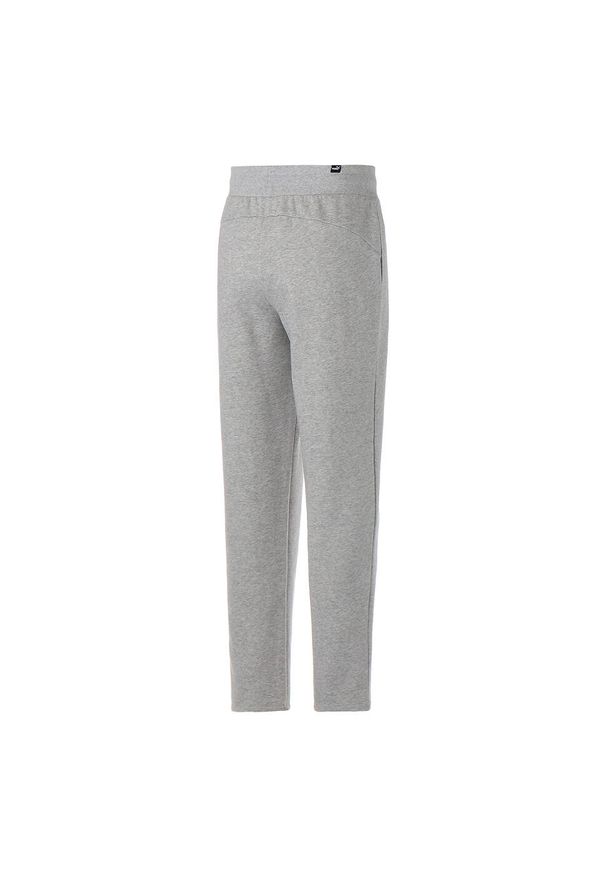 Puma Spodnie Ess 84719202. Kolor: szary. Długość: długie