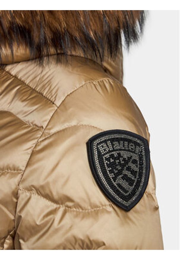 Blauer Kurtka zimowa 23WBLDC03093 Brązowy Regular Fit. Kolor: brązowy. Materiał: syntetyk. Sezon: zima