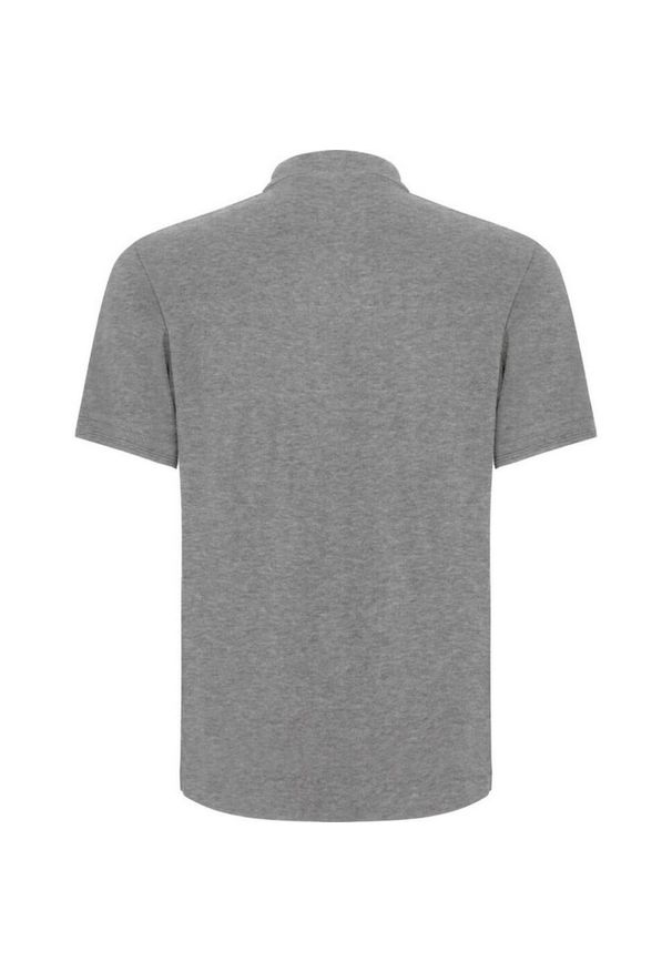 ROLY - Koszulka Polo Z Krótkim Rękawem Dla Dorosłych Unisex Centauro Premium. Typ kołnierza: polo. Kolor: szary. Długość rękawa: krótki rękaw. Długość: krótkie