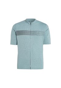 Dżersej z krótkim rękawem Protest PRTBOBBING. Kolor: wielokolorowy, niebieski, zielony. Materiał: jersey. Długość rękawa: krótki rękaw. Długość: krótkie. Sport: kolarstwo #1