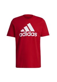 Adidas - Koszulka adidas Essentials Big Logo Tee GK9124 - czerwona. Kolor: czerwony. Materiał: bawełna. Długość rękawa: krótki rękaw. Długość: krótkie. Wzór: aplikacja #1