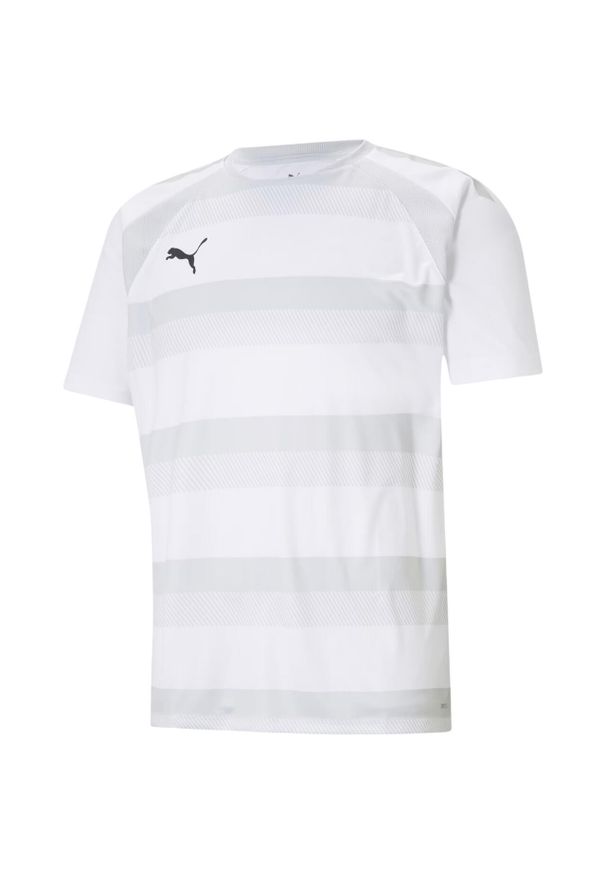 Koszulka męska Puma teamVISION Jersey. Kolor: biały. Materiał: jersey. Sport: piłka nożna