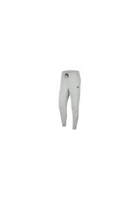 Spodnie sportowe męskie Nike Tech Fleece Jogger. Kolor: szary. Materiał: dresówka