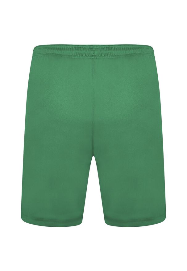 Puma - Męskie Spodenki Team Liga. Kolor: zielony
