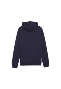 Bluza męska Puma Team Goal Casuals Hoody. Kolor: niebieski