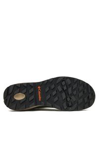 columbia - Columbia Trekkingi Newton Wander 2109441 Zielony. Kolor: zielony. Materiał: zamsz, skóra. Sport: turystyka piesza #5