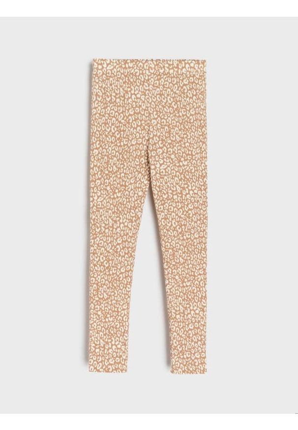 Sinsay - Legginsy - wielobarwny
