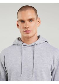 Big-Star - Bluza męska z kapturem szara Litson 901. Typ kołnierza: kaptur. Kolor: szary. Materiał: żakard, bawełna, poliester #4