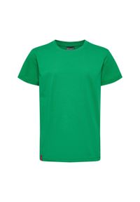 Koszulka dla dzieci Hummel Red Basic. Kolor: zielony. Materiał: bawełna. Długość rękawa: krótki rękaw. Długość: krótkie. Sport: piłka ręczna