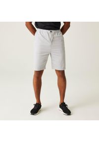 Regatta - Męskie spodenki chino Aldan Casual. Kolor: szary. Materiał: bawełna, materiał. Sport: turystyka piesza #1