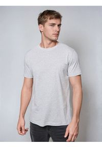 Sinsay - Bawełniana koszulka basic - szary. Kolor: szary. Materiał: bawełna