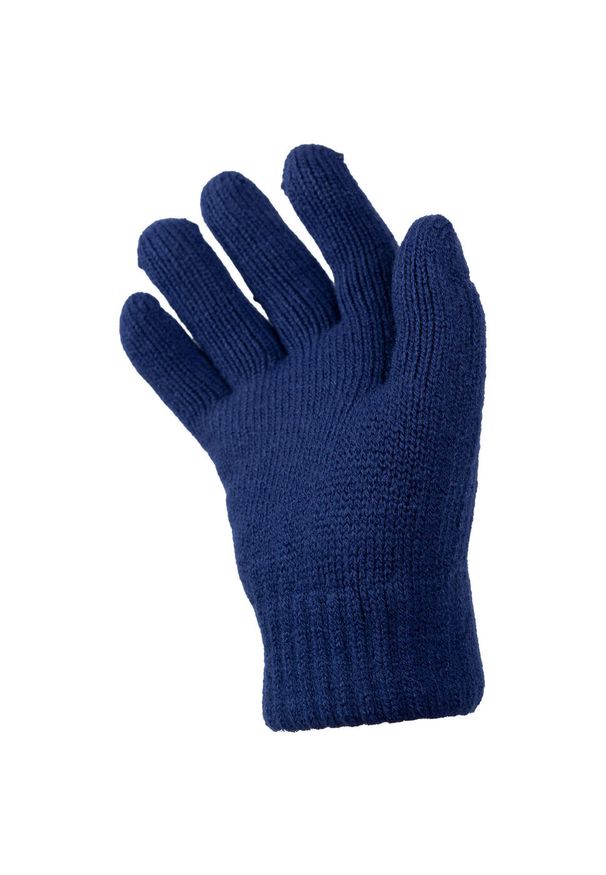 TRESPASS - Rękawiczki Z Dzianiny Dla Dzieci/Kids Kaybell. Kolor: niebieski. Materiał: dzianina. Sezon: zima