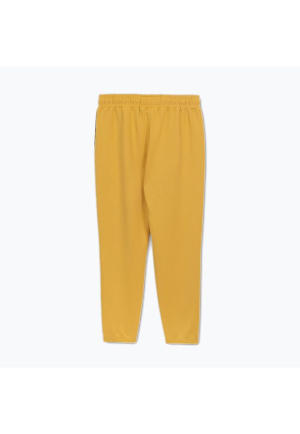 PITBULL - Spodnie męskie Pitbull Track Pants Powers. Kolor: żółty