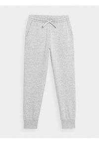 4f - 4F Spodnie dresowe joggery dziewczęce 122 (6-7 lat). Okazja: na co dzień. Kolor: szary. Materiał: dresówka. Sezon: lato. Styl: casual