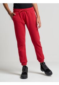 Big-Star - Spodnie dresowe dziewczęce czerwone Arroya 603. Kolor: czerwony. Materiał: dresówka