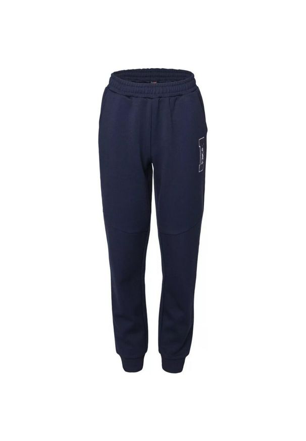 Iguana - Spodnie Do Joggingu Dla Chłopca Druham. Kolor: niebieski, wielokolorowy, zielony. Sport: bieganie