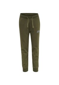 Spodnie dresowe dla dzieci Hummel Fast. Kolor: wielokolorowy, zielony, brązowy. Materiał: dresówka. Sport: joga i pilates