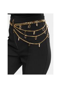 Pasek na talię Elisabetta Franchi. Kolor: złoty #1