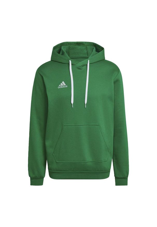 Bluza do piłki nożnej męska Adidas Entrada 22. Kolor: zielony, biały, wielokolorowy. Materiał: poliester, bawełna. Sport: piłka nożna