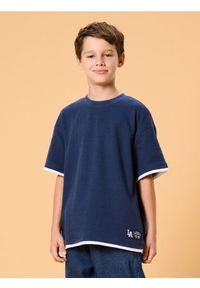 Sinsay - Bawełniana koszulka z krótkim rękawem - niebieski. Kolor: niebieski. Materiał: bawełna. Długość rękawa: krótki rękaw. Długość: krótkie #1