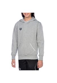 Bluza juniorska Arena Junior Team Line Hoodie. Kolor: szary