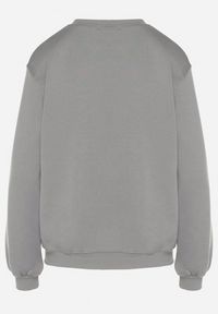 Born2be - Szara Bluza z Bawełną Ozdobiona Przeszyciami Fezoria. Okazja: na co dzień. Kolor: szary. Materiał: bawełna. Wzór: aplikacja. Styl: casual, klasyczny #4