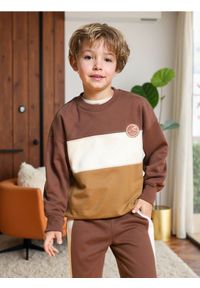 Sinsay - Bluza w pasy - brązowy. Kolor: brązowy #1