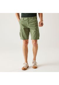 Regatta - Spodenki turystyczne męskie Ruwan. Kolor: zielony. Materiał: tkanina, bawełna. Sport: turystyka piesza #1