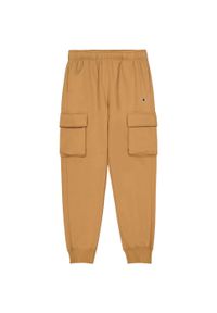 Spodnie męskie Champion Rib Cuff Cargo Pants. Kolor: brązowy, żółty, wielokolorowy