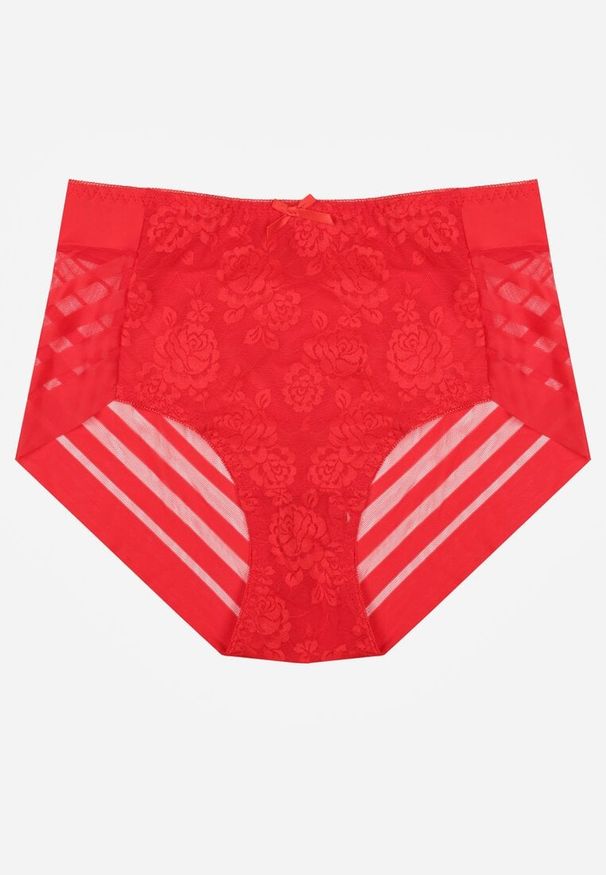 Renee - Czerwone Siateczkowe Majtki Figi High Waist z Koronkowymi Zdobieniami Heylih. Stan: podwyższony. Kolor: czerwony. Materiał: koronka. Wzór: aplikacja
