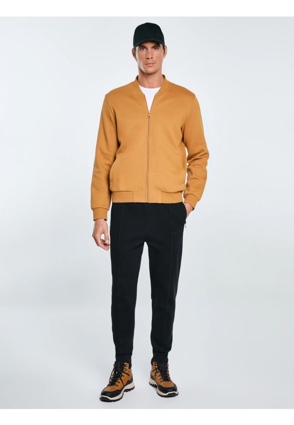 Big-Star - Bluza męska bomber jasnobrązowa Wladorb 803. Okazja: na spacer. Typ kołnierza: kołnierzyk stójkowy. Kolor: brązowy. Materiał: tkanina, materiał, dzianina. Wzór: nadruk. Styl: klasyczny, sportowy