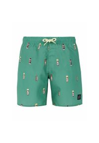 Spodenki kąpielowe dla dzieci Protest Prtbitmap. Kolor: zielony, brązowy, wielokolorowy #1
