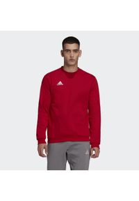Adidas - Bluza adidas Entrada 22. Kolor: czerwony. Materiał: materiał. Sport: fitness