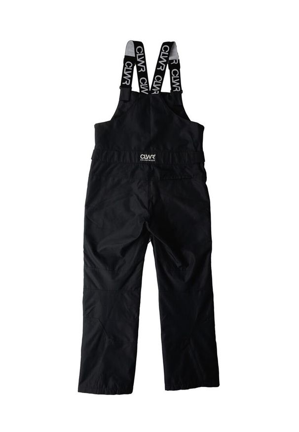 Spodnie narciarskie męskie Colourwear Slash Bib. Kolor: czarny. Sport: narciarstwo