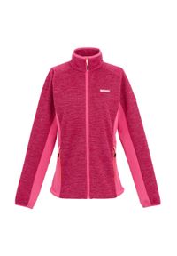 Regatta - Damska Bluza Polarowa Highton IV Z Pełnym Zamkiem Błyskawicznym. Kolor: różowy. Materiał: polar. Sezon: zima. Styl: sportowy. Sport: turystyka piesza #1