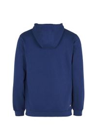 Fila Barumini Hoody, męska bluza. Kolor: wielokolorowy, niebieski. Materiał: bawełna, poliester