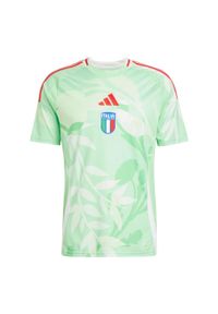 Adidas - Koszulka Italy 25 (Women's Team) Away. Kolor: zielony. Materiał: materiał