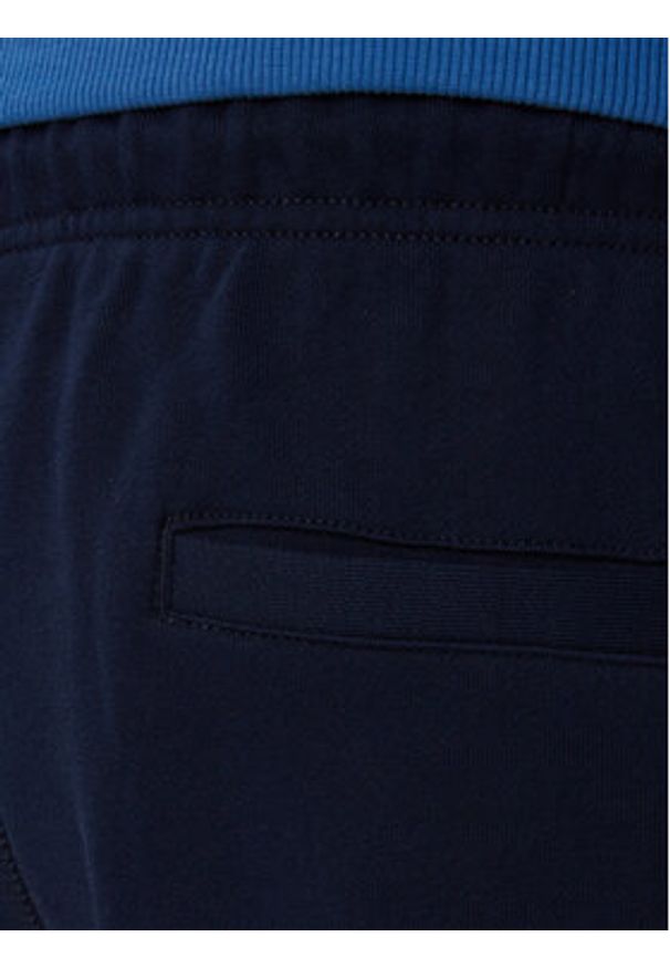 TOMMY HILFIGER - Tommy Hilfiger Szorty sportowe Rwb MW0MW43384 Granatowy Regular Fit. Kolor: niebieski. Materiał: bawełna. Styl: sportowy