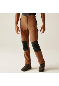 Regatta - Questra V Męskie spacerowe spodnie turystyczne. Kolor: brązowy. Sezon: lato. Sport: turystyka piesza #1