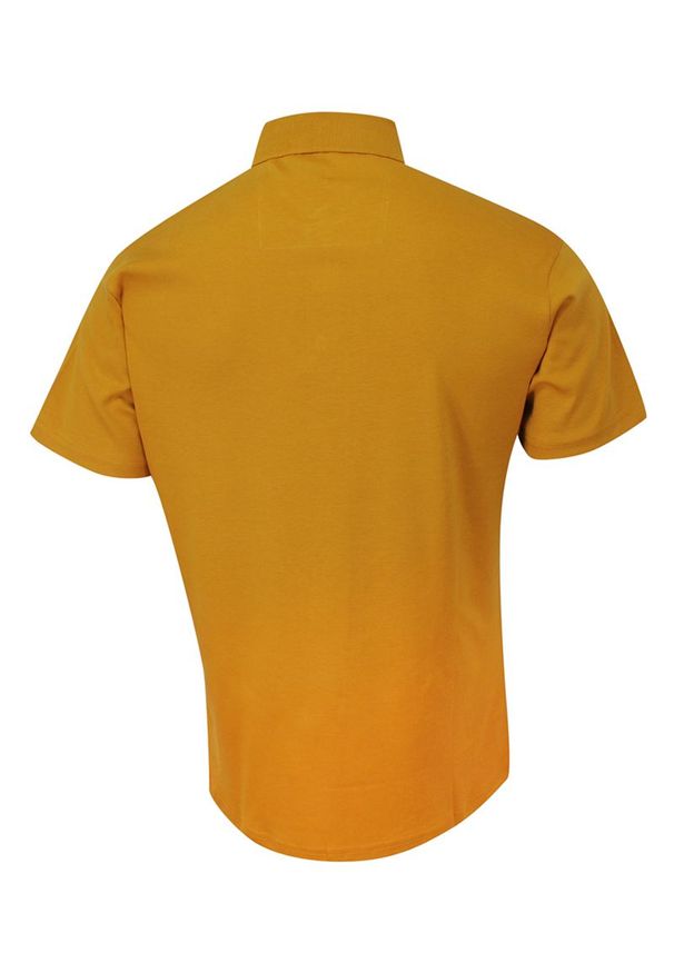 Expoman - Koszulka POLO, Musztardowa Casualowa, Męska, Krótki Rękaw, Jednokolorowa, T-shirt. Okazja: na co dzień. Typ kołnierza: polo. Kolor: złoty, żółty, wielokolorowy. Materiał: bawełna. Długość rękawa: krótki rękaw. Długość: krótkie. Styl: casual