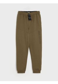 Sinsay - Spodnie dresowe - zielony. Kolor: zielony. Materiał: dresówka. Długość: długie #1